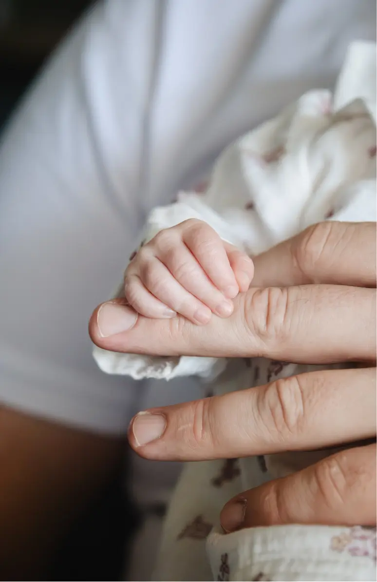 Naissance 5